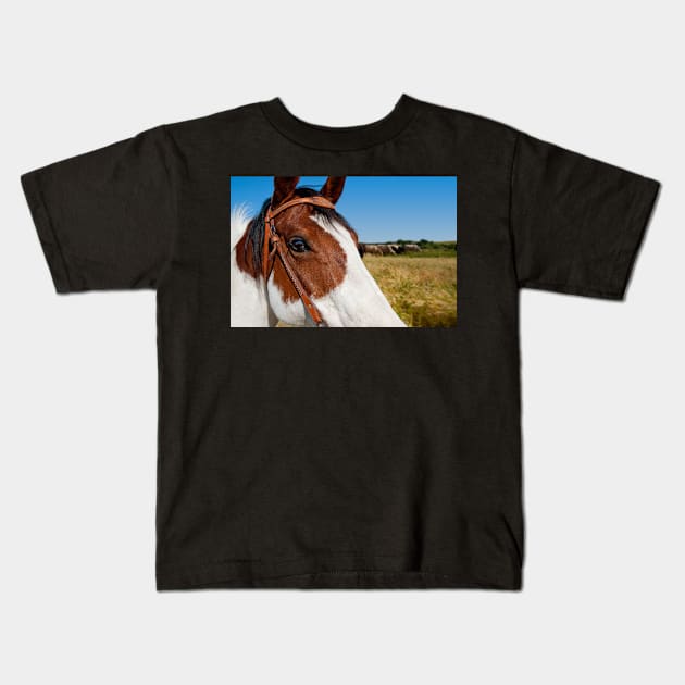 Horsing around Kids T-Shirt by randymir